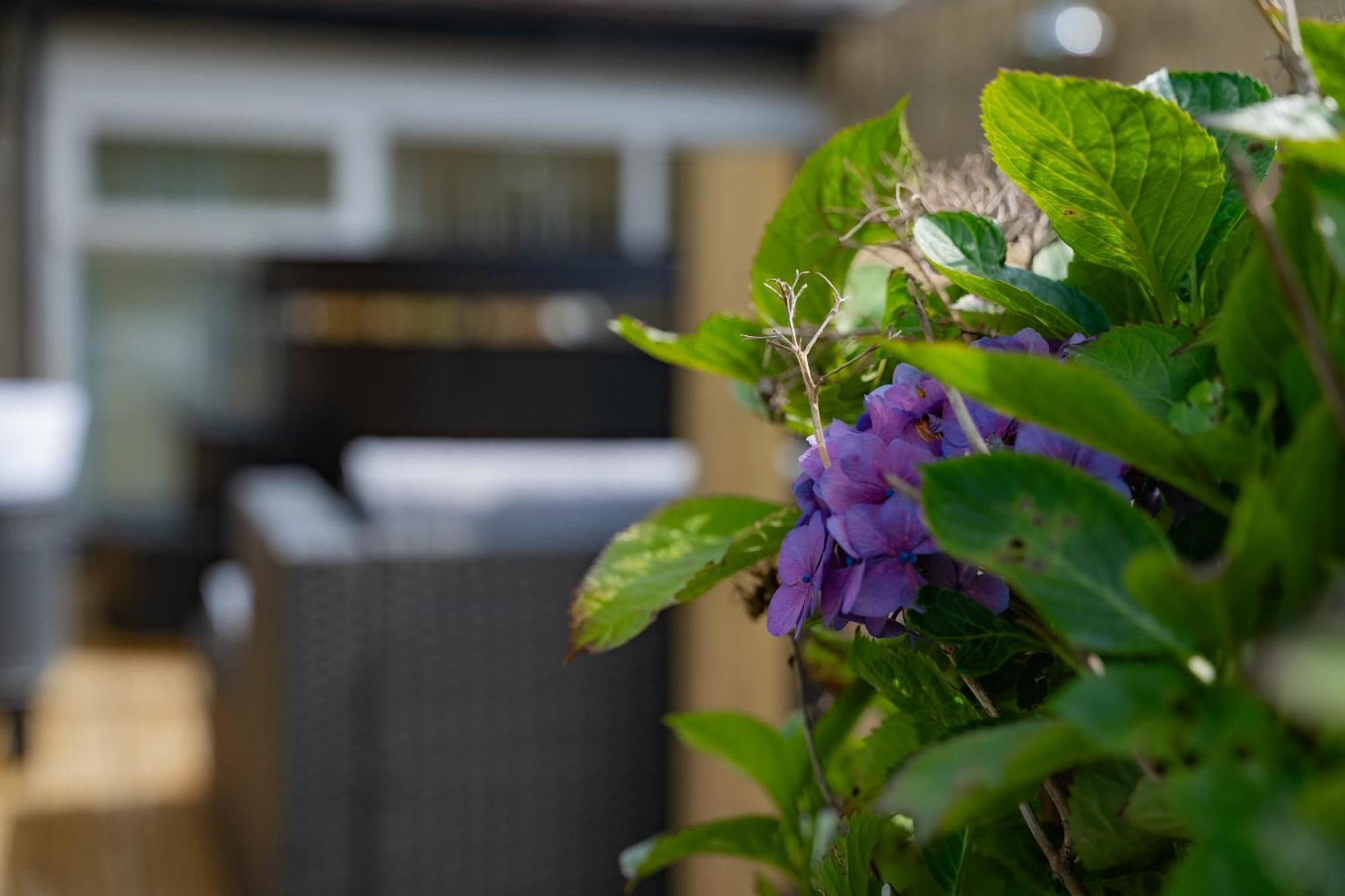 The Briers Guest house Newcastle (Down)